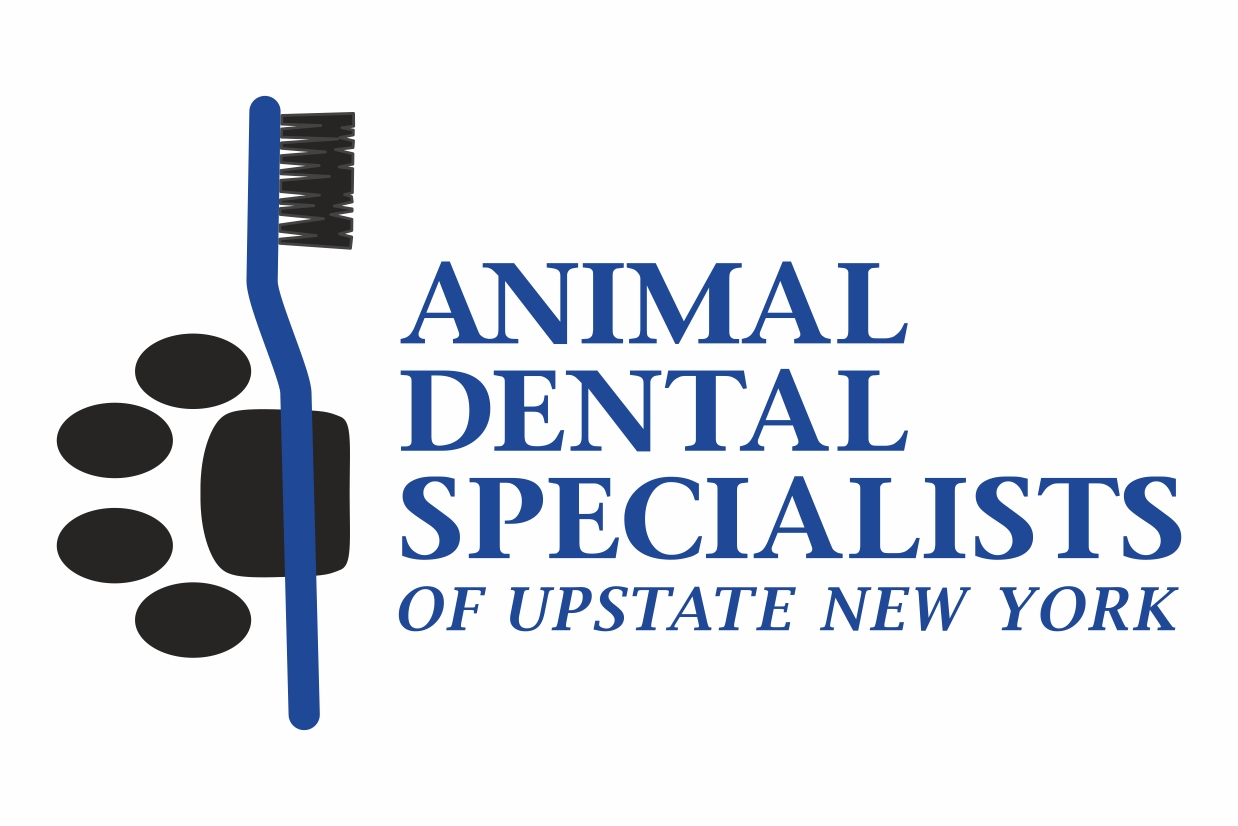 Animal Dental Specialists