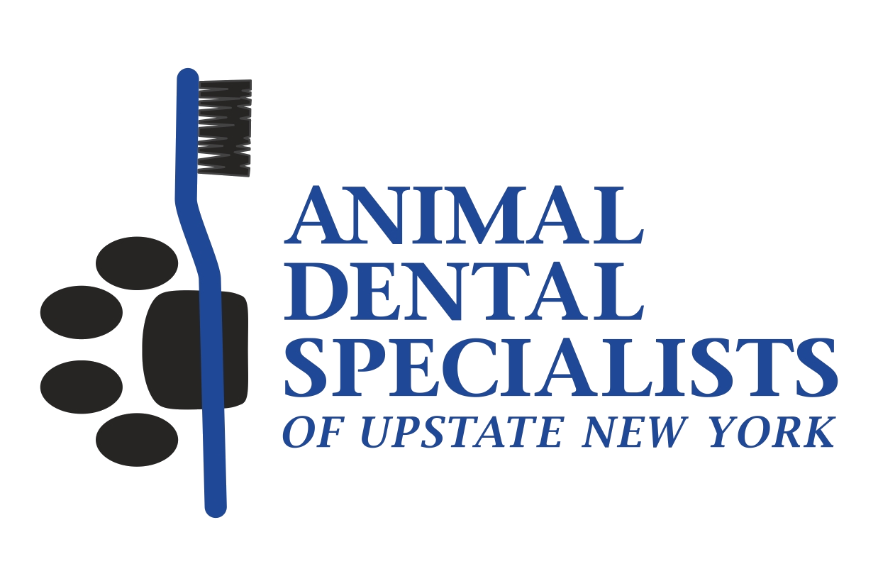 Animal Dental Specialist Logo