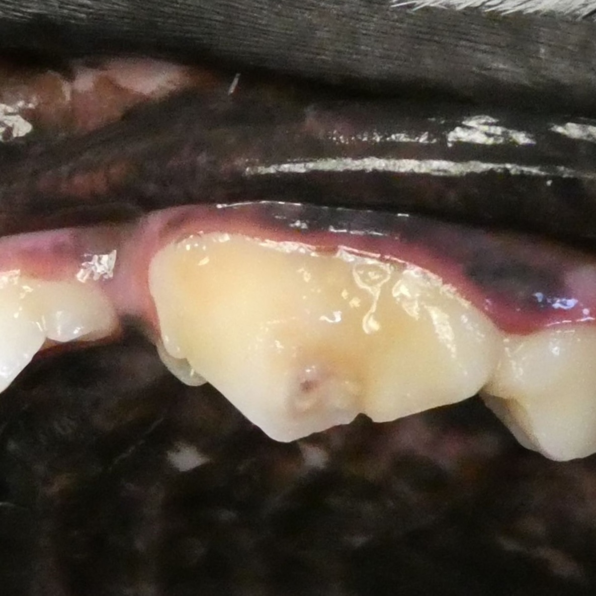 Common Conditions Treated and Services Offered